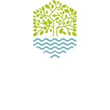 Rijnvaert Oegstgeest